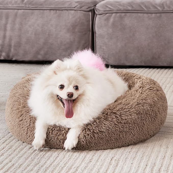 MIXJOY Calming Cat Beds for Indoor Cats, Fluffy Small Cat Cuddler, Anti-Anxiety - Image 8