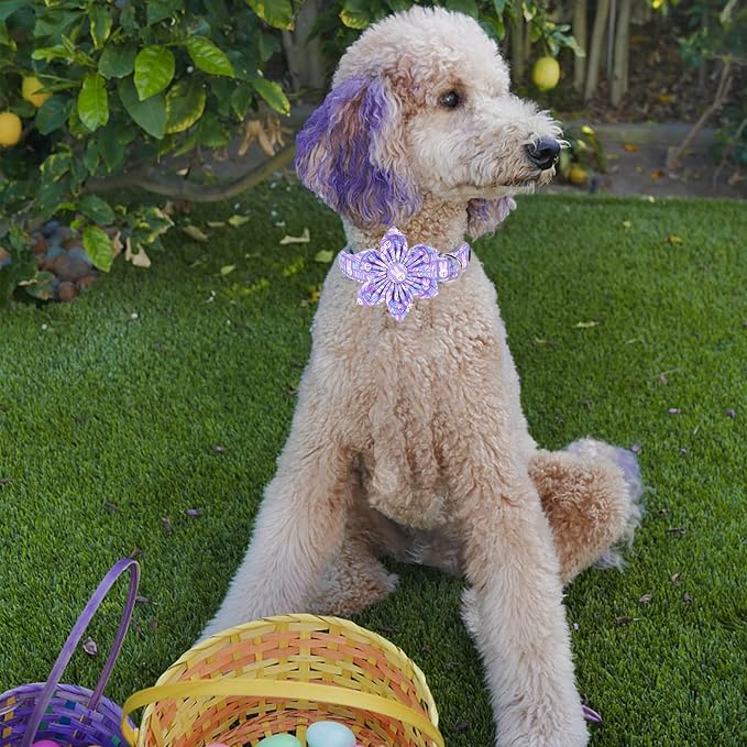 MR. CHUBBYFACE Easter Dog Collar, Adjustable Puppy Collar Bowtie - Image 4
