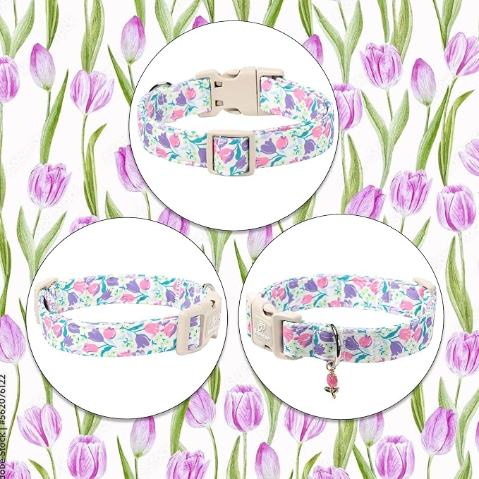 Floral Dog Collar for Large Dogs - Image 6