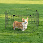 Amazon Basics Foldable Octagonal Metal Exercise Dog Playpen - Image 6