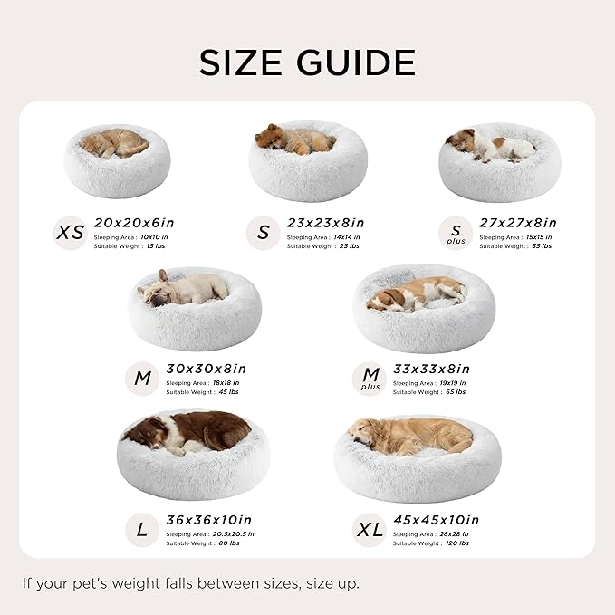 Bedsure Calming Dog Bed for Small Dogs - Image 7