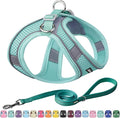 AIITLE No Pull Dog Harness and Leash Set, Step in Adjustable Dog Harness by AIITLE-FORPETSBETTERLIFE