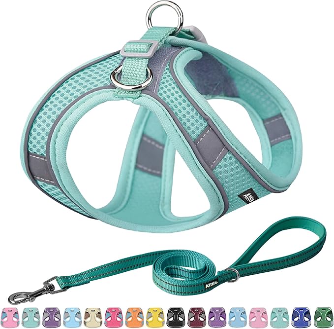 AIITLE Dog Harness, No-Pull Cat Harness by AIITLE-FORPETSBETTERLIFE