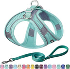 AIITLE Easy Walk Dog Harness and Leash Set by AIITLE-FORPETSBETTERLIFE