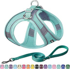 AIITLE Escape Proof Dog Harness by AIITLE-FORPETSBETTERLIFE