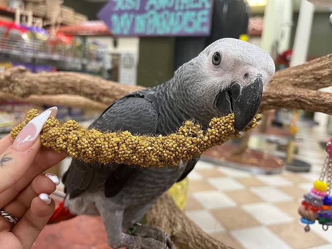Birds LOVE Economy Special Spray Millet - Image 6