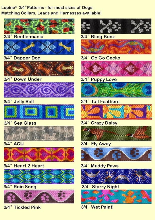 Lupine Small Dog Collar 3/4" Wide Rain Song Adjusts from 9" to 14" - Image 3