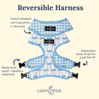 Lucy & Co. Cute Reversible Dog Harness Walking Halter - Image 4
