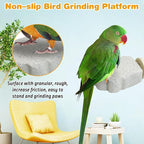 PINVNBY 6 PCS Bird Perch Parrot Beak Grinding Stone Calcium Mineral Parrot - Image 4