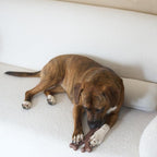 SPOT Bam-Bones Wishbone - Image 11