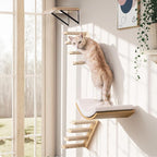Wood Cat Wall Shelf with Soft Foam Cushion, Curved Cats Wall Bed - Image 8