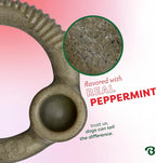 Benebone Peppermint Ring – Limited Edition Holiday Flavor, Durable Chew Toy - Image 2