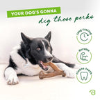 Medium 3-Pack, Benebone Wishbone Durable Dog Chew Toy - Image 3