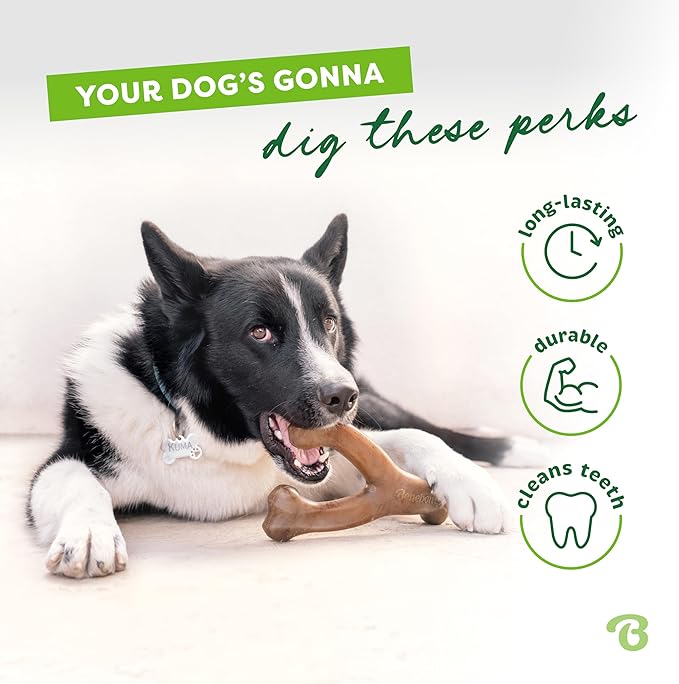 Small 3-Pack, Benebone Wishbone Durable Dog Chew Toy - Image 3