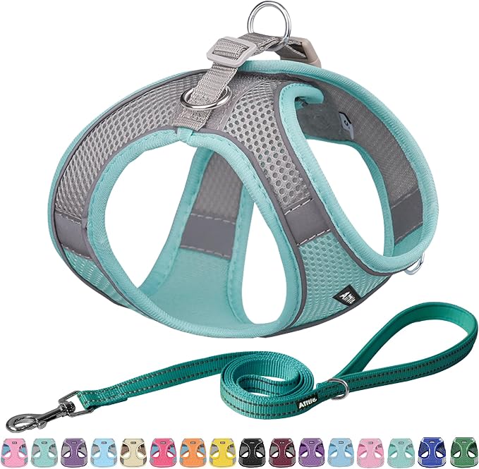 AIITLE Dog Harness, No-Pull Cat Harness by AIITLE-FORPETSBETTERLIFE
