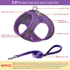 AIITLE Step in Dog Harness and Leash Set - Image 2