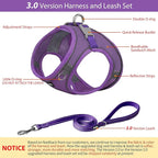 AIITLE Easy Walk Dog Harness and Leash Set - Image 2