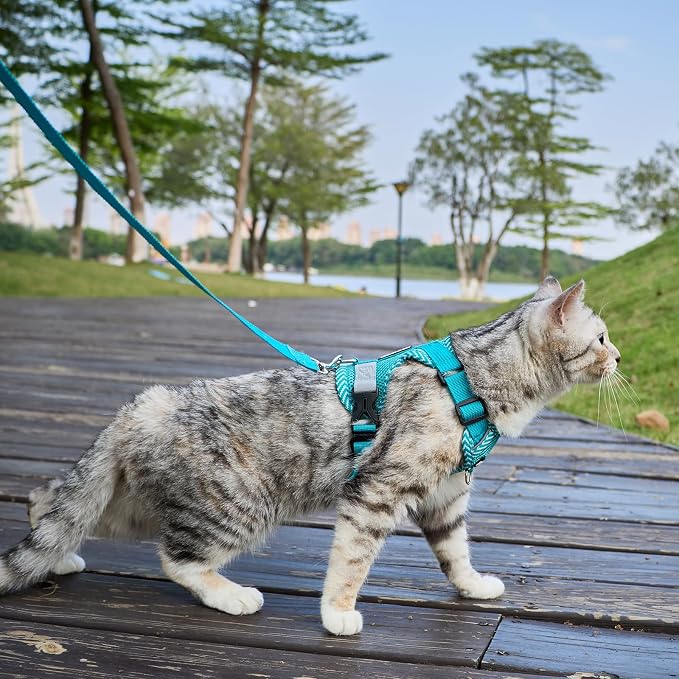 Cat Harness and Leash Escape Proof Medium Kitten Harness Bengal Cat Vest - Image 3