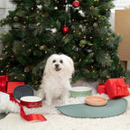 Should We Go - Waterproof Silicone Pet Food Mat - Non-Slip Spill-Proof Feeding - Image 7