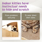 Hideaway Cat Scratcher Box for Indoor Cats - Image 4