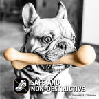 Pet Qwerks Dinosaur BarkBone - Image 7