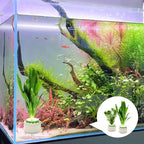 16 Pack Aquarium Plant Weights, Aquatic Plants Fixed Ring Set, Anti-Floating - Image 5