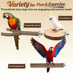 6 PCS Bird Perch Set, Natural Birch Wood Straight & Forked Perches - Image 5