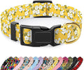 Reflective Dog Collar for Small Dogs, Cute Flower Theme Adjustable Heavy-Duty by TMOODEL