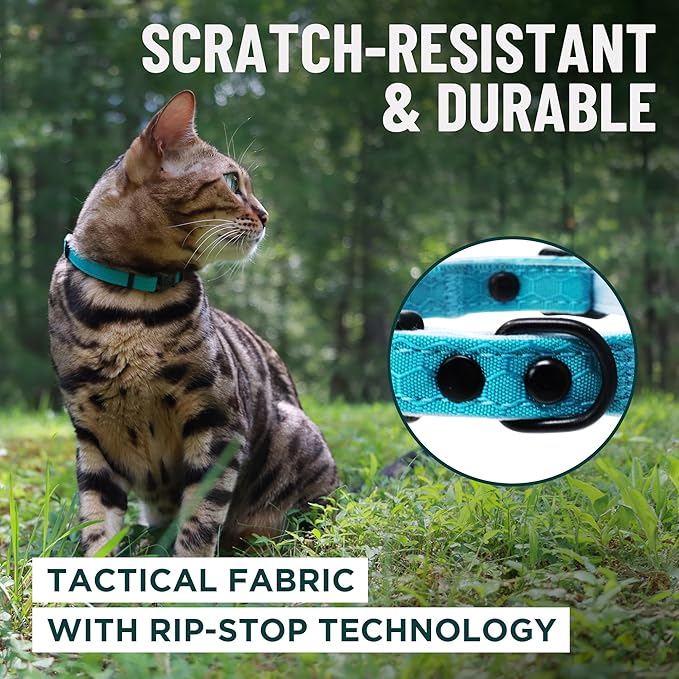 OutdoorBengal Black Breakaway Kitten Collar - Image 4