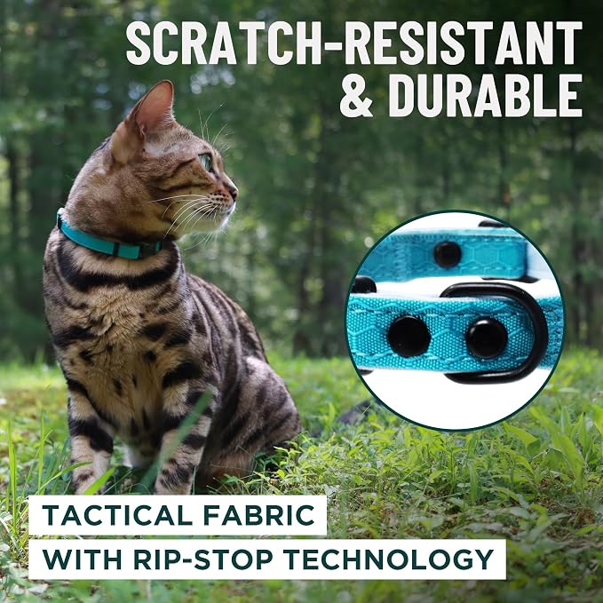 OutdoorBengal Orange Cat Collar Breakaway, Soft Padding - Image 4