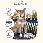 Lucy & Co. Ballet Bows Dog Collar - Image 3