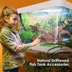 Jorewood Natural Aquarium Driftwood - Image 5