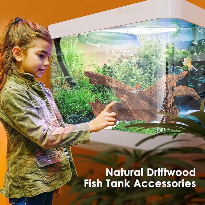 Jorewood Natural Aquarium Driftwood - Image 5