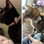 ADOGGYGO Cat Collar Breakaway - Image 3