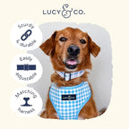 Lucy & Co. Dog Collar - Image 6