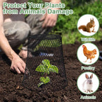 10 Pcs Chicken Wire Cloche Plant Covers Garden Netting Metal Heavy Duty Plant - Image 6