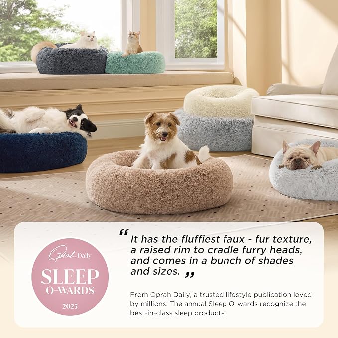 Bedsure Calming Cat Beds for Indoor Cats - Image 6