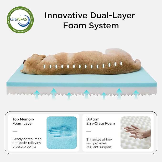 Bedsure Memory Foam Dog Bed for Small Dogs - Image 2