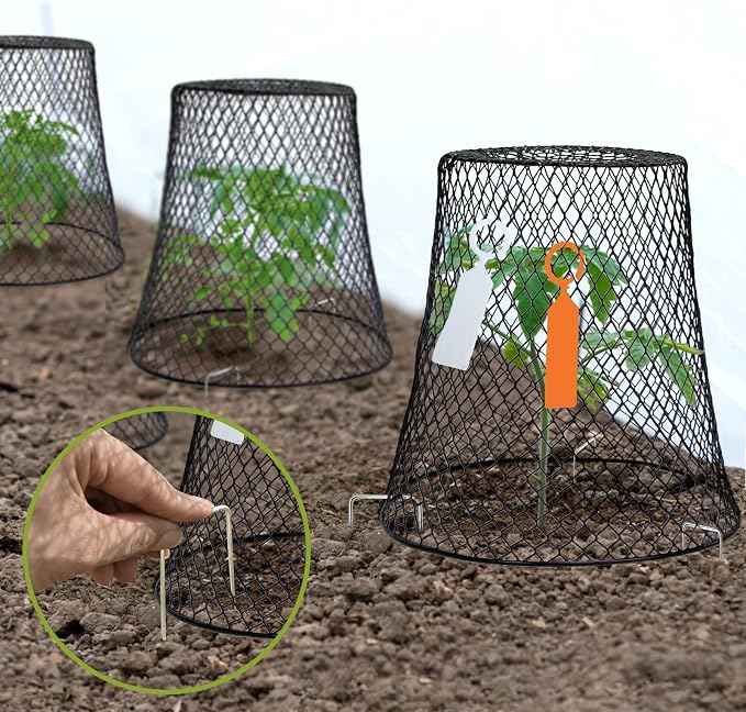 10 Pcs Chicken Wire Cloche Plant Covers Garden Netting Metal Heavy Duty Plant - Image 7