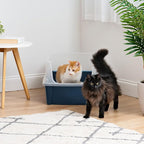 IRIS USA XX-Large Cat Litter Box, Open Top Extra Large Litter Box - Image 3