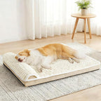 Orthopedic Dog Bed Medium Size Dog by Unknown