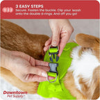 Downtown Pet Supply Step-in Dog Harness – No Pull, Adjustable Padded Mesh - Image 5