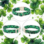 St Patricks Day Dog Collar for Medium Dogs - Image 7