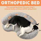 Orthopedic Memory Foam XXL Dog Bed - Image 5
