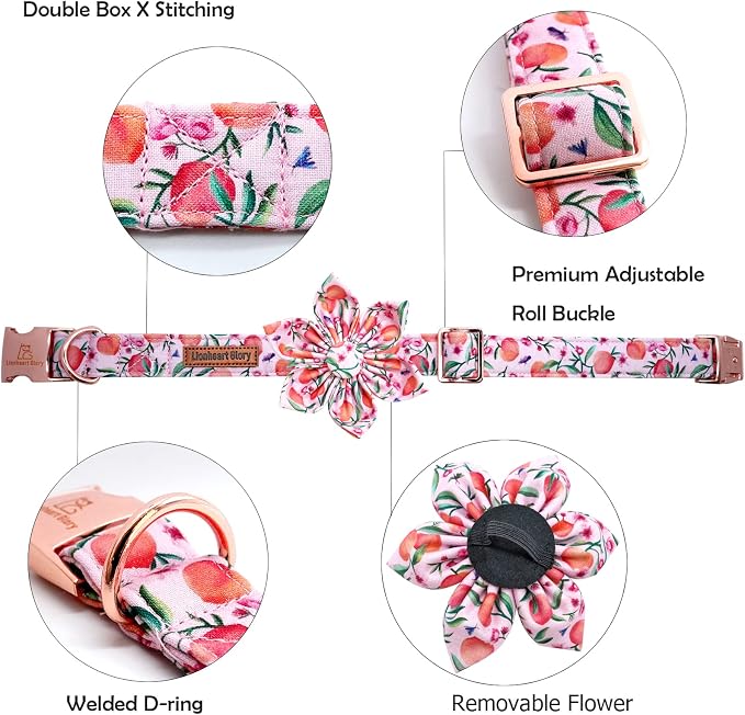 Lionheart glory Dog Collar - Image 2