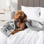 PetAmi Waterproof Dog Blanket for Small Medium Dog Puppy Cat Throw for Couch - Image 7