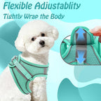 AIITLE No Pull Dog Harness and Leash Set, Step in Adjustable Dog Harness - Image 3