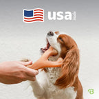 Large 3-Pack, Benebone Wishbone Durable Dog Chew Toy - Image 5