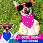 Kacctyen 100 Pieces Dog Bandanas Bulk Plain Blank Heat Transfer Triangle Dog - Image 2