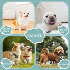 Premium Pet Clothes: Beige Tank Top Dog Shirts - Image 2